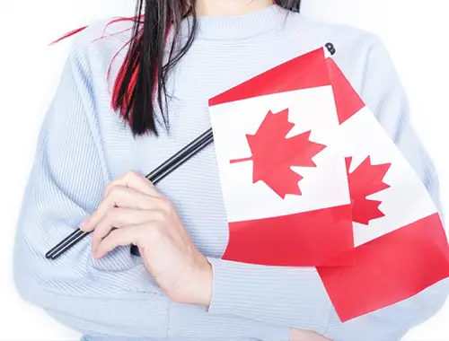 Client exploring specialized pilot immigration options for Canada
