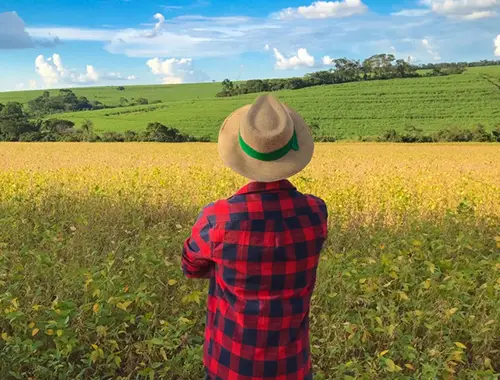 Skilled worker preparing for a rural community immigration opportunity in Canada
