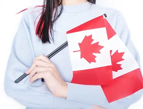 Client exploring specialized pilot immigration options for Canada