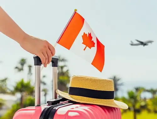 Visitor Visa Services​